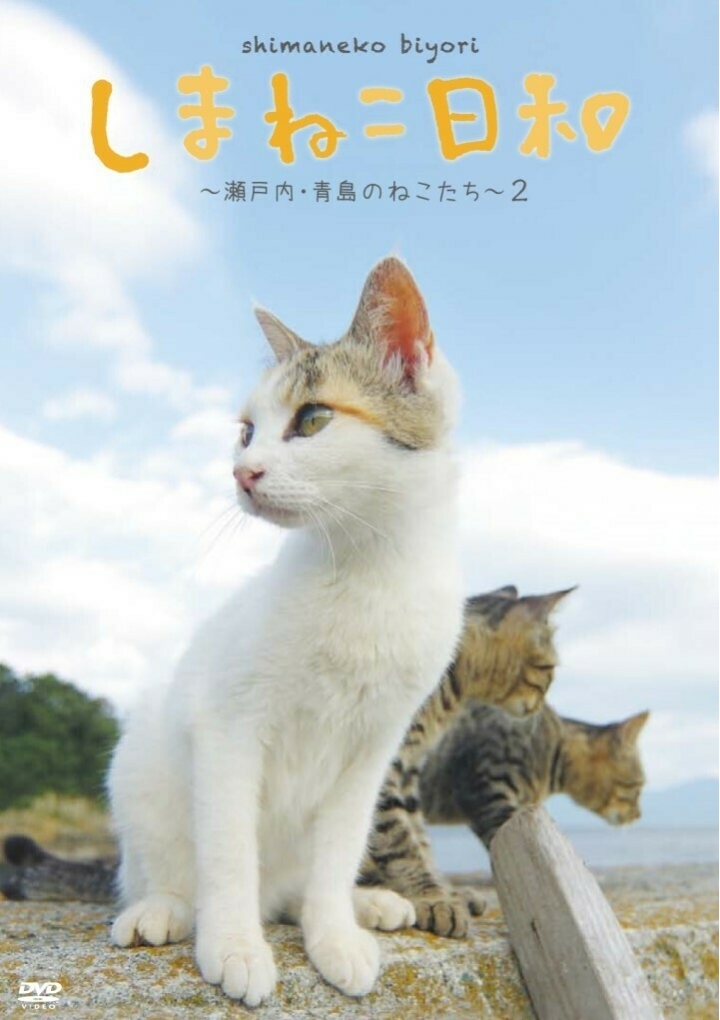Cat Island "Aoshima"