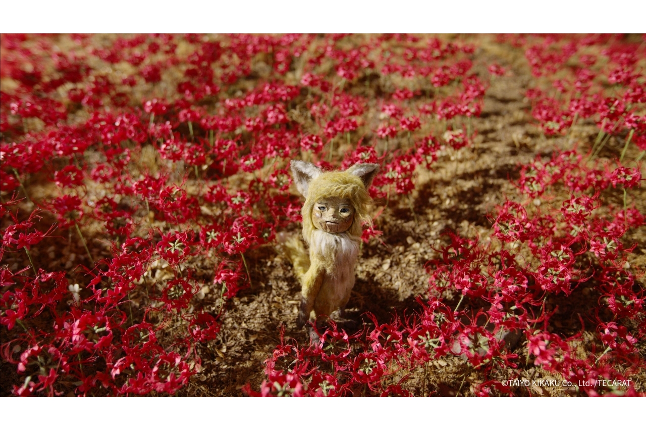 GON, THE LITTLE FOX