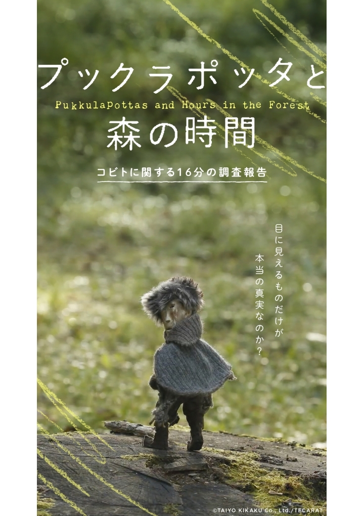 Pukkulapottas and Hours in the Forest